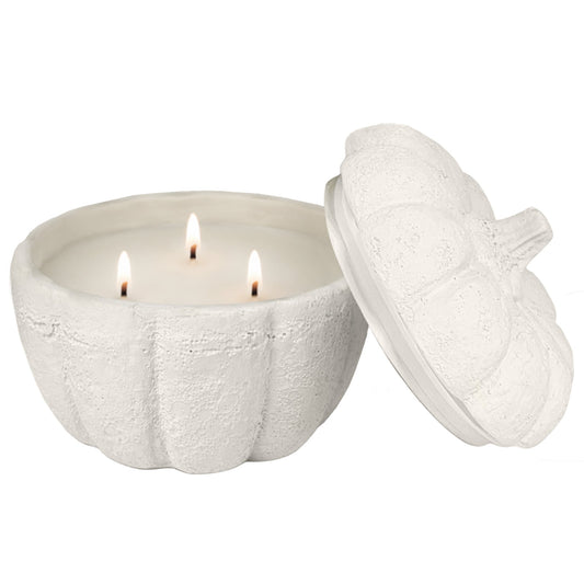 Cashmere and Vanilla Soy Candle - Cement Pumpkin Jar - 13.5 oz-ONLINE ONLY